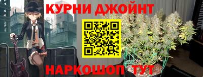 СК Тула