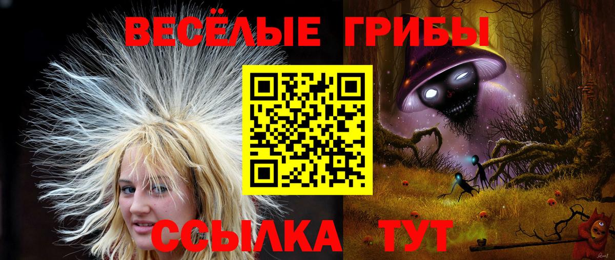 Галлюциногенные грибы прущие грибы  Вход с VPN  Орехово-Зуево 